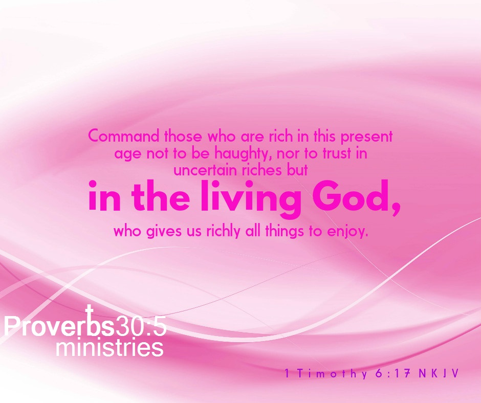 Proverbs30 5 ministries